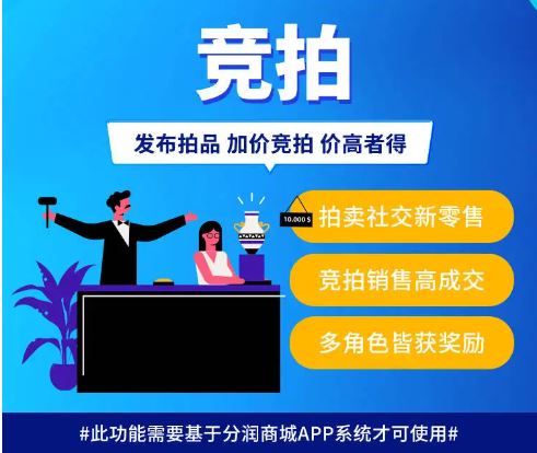 競(jìng)拍系統(tǒng)開(kāi)發(fā).jpg