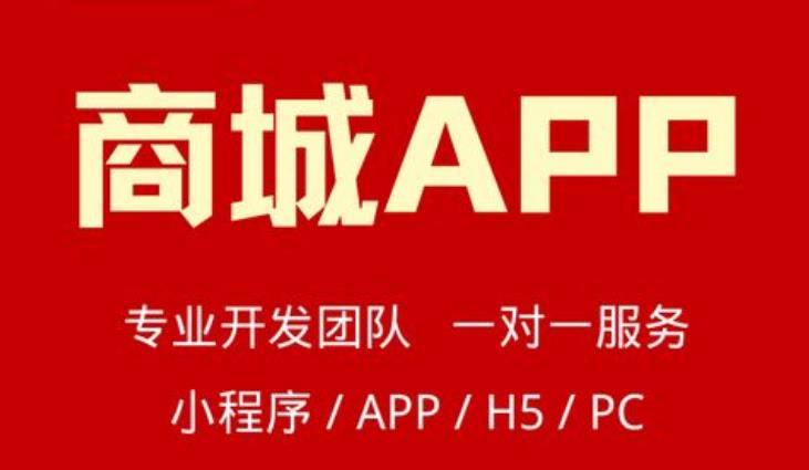 電商系統定制方案 電商系統定制方案